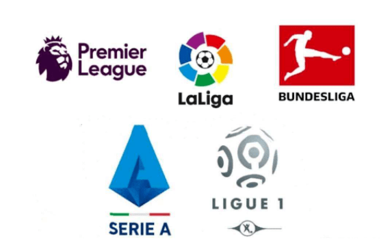 利为她的乒 利为她的乒