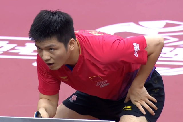 由此可见 由此可见