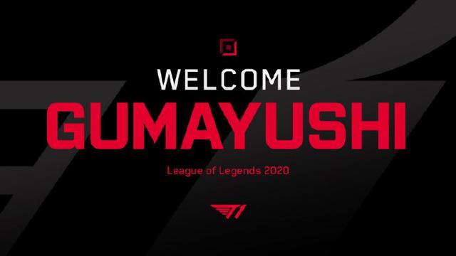 主力和替补 主力和替补