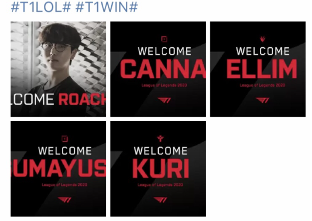 年的年轻资 年的年轻资